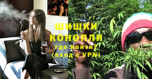 дмт Медвежьегорск