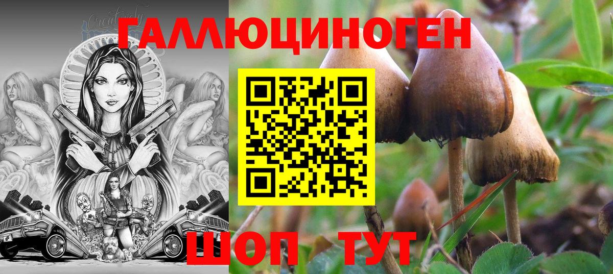 Псилоцибиновые грибы мицелий Луховицы