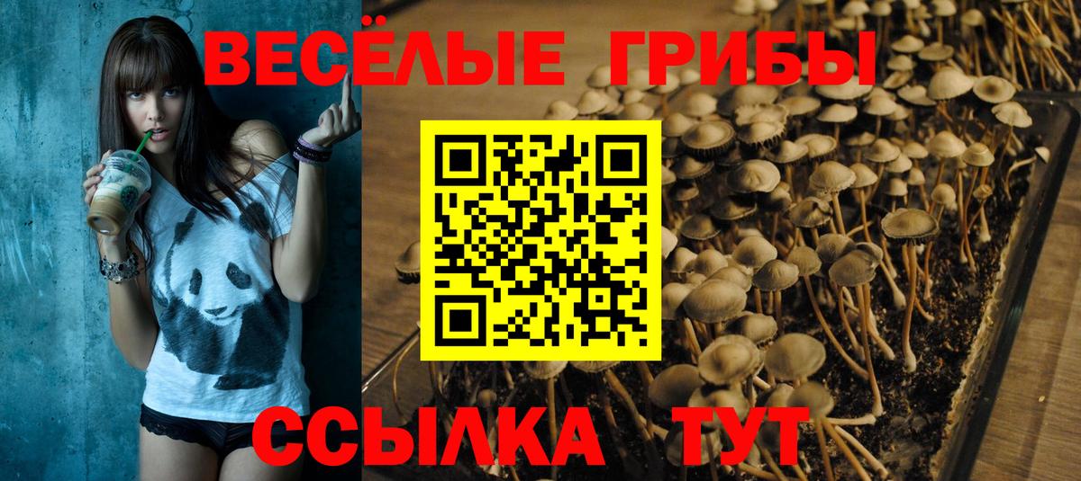 Псилоцибиновые грибы Cubensis  Вход с VPN  Луховицы 